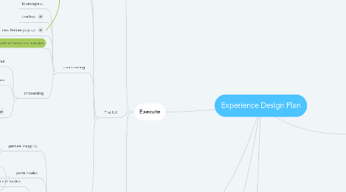 Mind Map: Experience Design Plan