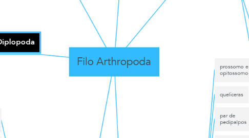 Mind Map: Filo Arthropoda