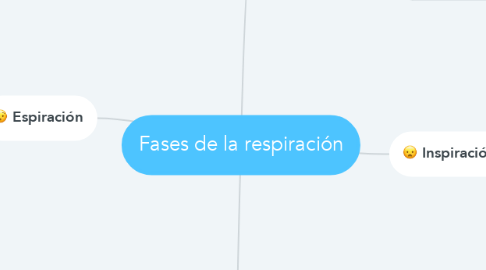 Mind Map: Fases de la respiración