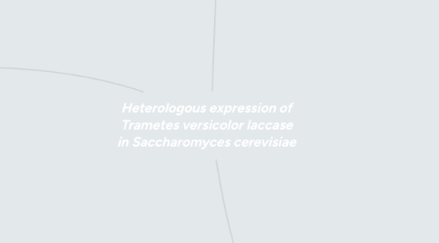 Mind Map: Heterologous expression of Trametes versicolor laccase in Saccharomyces cerevisiae