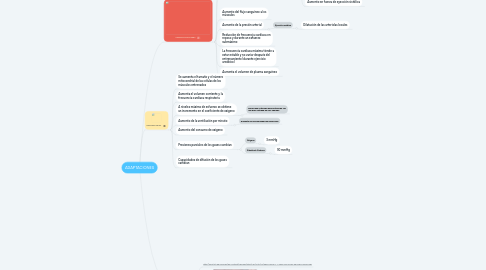 Mind Map: ADAPTACIONES