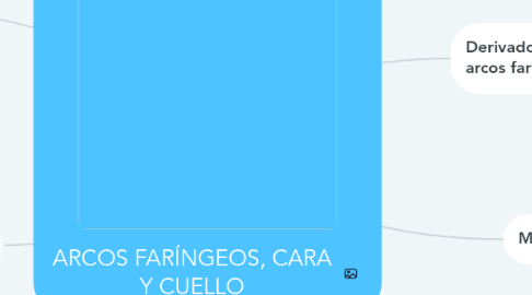 Mind Map: ARCOS FARÍNGEOS, CARA Y CUELLO