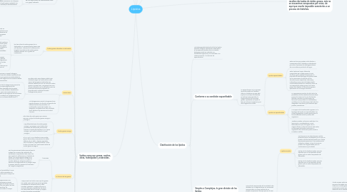 Mind Map: Lípidos