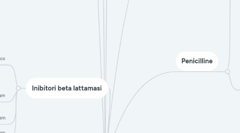 Mind Map: Copy of Betalattamici