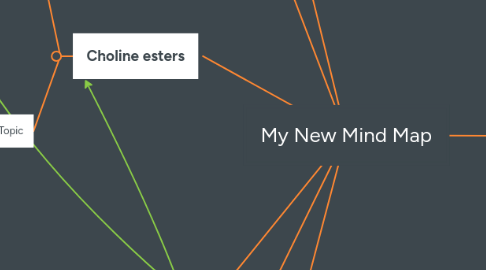 Mind Map: My New Mind Map