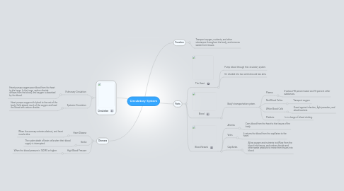 Mind Map: Circulatory System