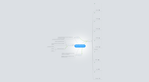 Mind Map: Sistema Respiratorio