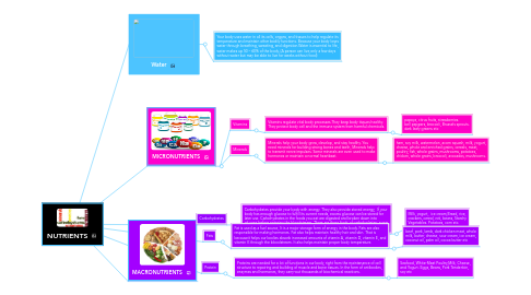 Mind Map: NUTRIENTS