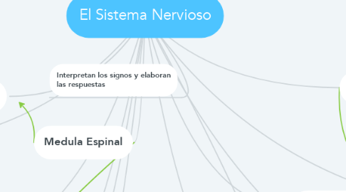 Mind Map: El Sistema Nervioso