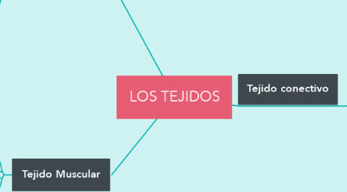 Mind Map: LOS TEJIDOS