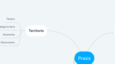 Mind Map: Praxis