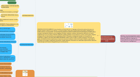 Mind Map: ENFERMEDADES POR STAPHYLOCOCCUS AUREUS KARINA GRIJALBA MONCAYO UNAD