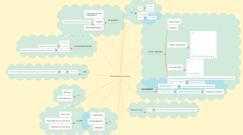 Mind Map: RISH'S Next Four Years