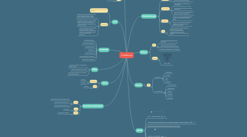 Mind Map: Juutalaisuus