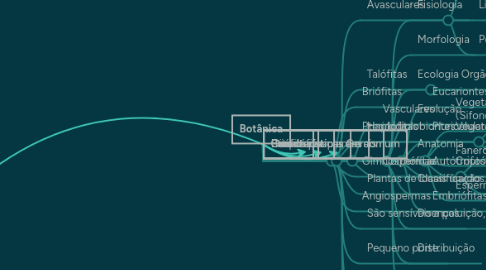 Mind Map: Botânica