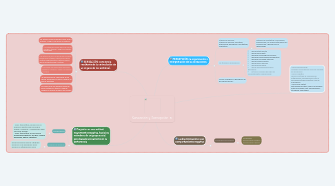 Mind Map: Sensación y Percepción