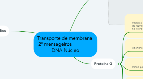 Mind Map: Transporte de membrana  2° mensageiros                 DNA Núcleo