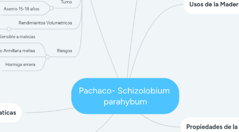 Mind Map: Pachaco- Schizolobium parahybum