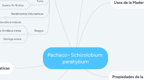 Mind Map: Pachaco- Schizolobium  parahybum