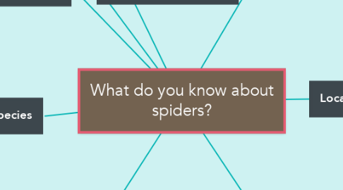 Mind Map: What do you know about spiders?