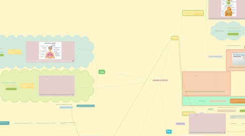 Mind Map: HOMEOSTATSIS