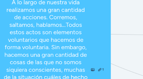 Mind Map: A lo largo de nuestra vida realizamos una gran cantidad de acciones. Corremos, saltamos, hablamos...Todos estos actos son elementos voluntarios que hacemos de forma voluntaria. Sin embargo, hacemos una gran cantidad de cosas de las que no somos siquiera conscientes, muchas de la situación cuáles de hecho son las que nos mantienen con vida y con la posibilidad de hacer las voluntarias, como el control del ritmo cardiaco y respiratorio, la aceleración o desaceleración de los sistemas fisiológicos obvio o la digestión.