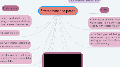 Mind Map: Environment and peace