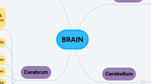 Mind Map: BRAIN