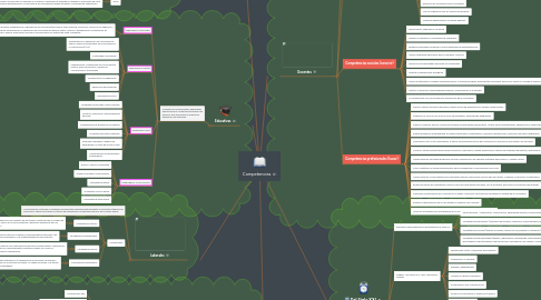 Mind Map: Competencias