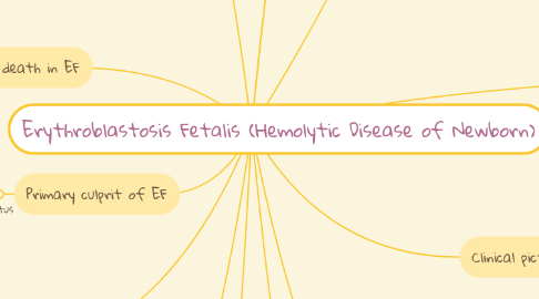 Mind Map: Erythroblastosis Fetalis (Hemolytic Disease of Newborn)