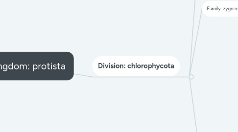 Mind Map: Kingdom: protista