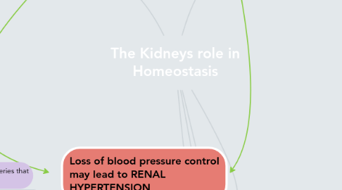 Mind Map: The Kidneys role in Homeostasis