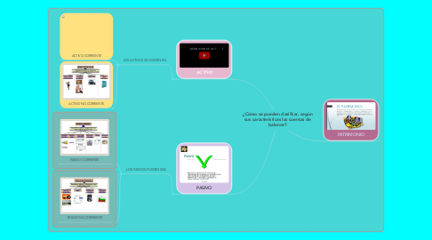 Mind Map: ¿Cómo se pueden clasificar, según sus características las cuentas de balance?