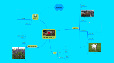 Mind Map: Primorski zavičaj