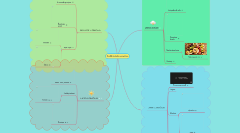 Mind Map: Godišnja doba u zavičaju