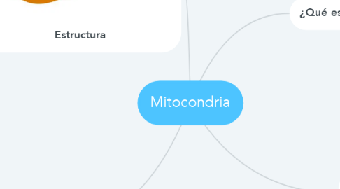 Mind Map: Mitocondria