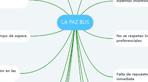 Mind Map: LA PAZ BUS
