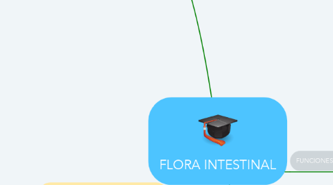 Mind Map: FLORA INTESTINAL