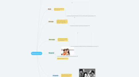 Mind Map: Modelos de familia