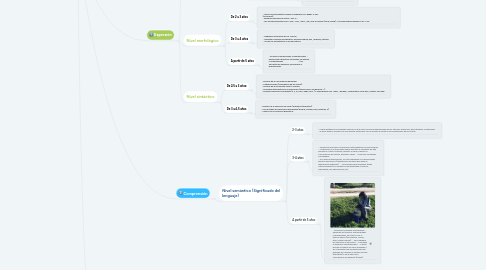 Mind Map: Desarrollo evolutivo del lenguaje