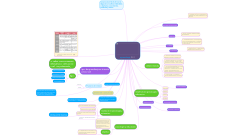 Mind Map: lluvia de ideas: contaminación ambiental