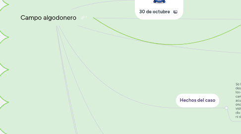 Mind Map: Campo algodonero