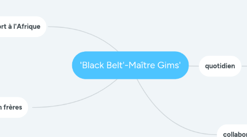 Mind Map: 'Black Belt'-Maître Gims'