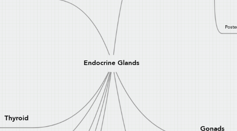 Mind Map: Endocrine Glands