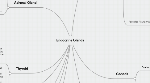 Mind Map: Endocrine Glands