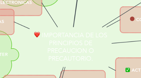 Mind Map: IMPORTANCIA DE LOS PRINCIPIOS DE PRECAUCION O PRECAUTORIO.