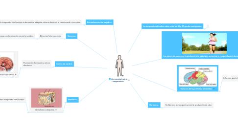 Mind Map: Homeostasis de la temperatura.