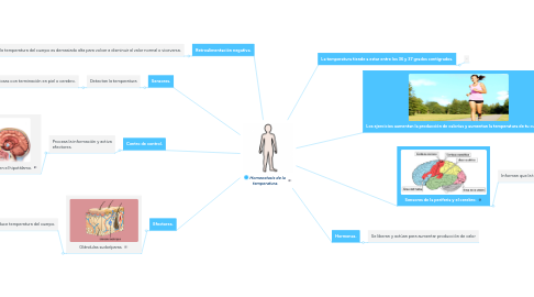 Mind Map: Homeostasis de la  temperatura.