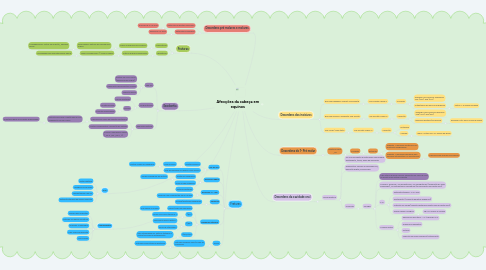 Mind Map: Afecções da cabeça em equinos