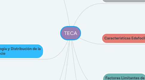 Mind Map: TECA